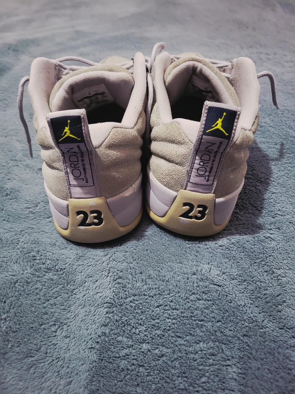 Air Jordan 12 Retro Low 